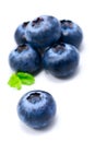 Blueberry Royalty Free Stock Photo