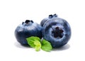 Blueberry Royalty Free Stock Photo