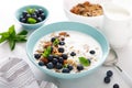 Blueberry and almond granola with greek yogurt, cottage cheese and fresh berries Royalty Free Stock Photo