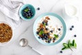 Blueberry and almond granola with greek yogurt, cottage cheese and fresh berries Royalty Free Stock Photo