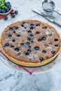 Blueberry and almond tart Royalty Free Stock Photo