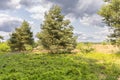 Nature landscape Drenthe Teh Netherlands Royalty Free Stock Photo