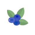Blueberry berry, animated vector illustration