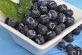 Blueberry antioxidant organic superfood in a bowl