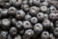 Blueberry antioxidant organic superfood in a bowl concept for healthy eating and nutrition Royalty Free Stock Photo