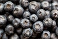 Blueberry antioxidant organic superfood in a bowl concept for healthy eating and nutrition