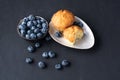 Blueberry antioxidant organic superfood in ceramic bowl and sweet muffin