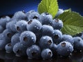Blueberry antioxidant organic superfood close up. Fresh Blueberry in a red bowl concept for healthy eating and nutrition blue Royalty Free Stock Photo