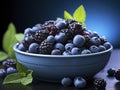 Blueberry antioxidant organic superfood close up. Fresh Blueberry in a red bowl concept for healthy eating and nutrition blue