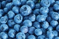 Blueberry antioxidant organic superfood, fresh blueberries background Royalty Free Stock Photo