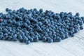 Blueberry antioxidant organic superfood, fresh blueberries background Royalty Free Stock Photo