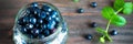 Blueberry antioxidant organic superfood in a jar concept for hea