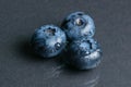 Blueberry antioxidant superfood on dark background