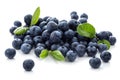 Blueberry Royalty Free Stock Photo