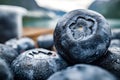 Blueberry antioxidants on a wooden table on a background of Norwegian nature Royalty Free Stock Photo