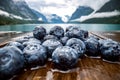 Blueberry antioxidants on a wooden table on a background of Norwegian nature