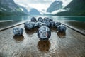 Blueberry antioxidants on a wooden table on a background of Norwegian nature