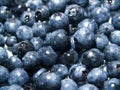 Blueberry Background Royalty Free Stock Photo
