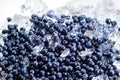 Blueberry background. Berries with ice Royalty Free Stock Photo