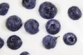 Blueberry background.Concept: Healthy living, fresh nutritions, fitness diet.