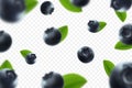 Blueberry background. Fresh berry with green leaves on transparent background. Flying defocusing blueberry berries. 3D realistic