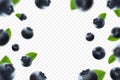 Blueberry background. Fresh berry with green leaves on transparent background. Flying defocusing blueberry berries. 3D realistic