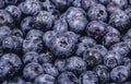 Blueberry background. Fresh Organic Blueberries. Fresh wet blueberries