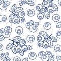 Blueberry background, pattern set. Collection icon blueberry. Vector Royalty Free Stock Photo