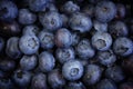 Blueberry background. Summer natural background. Natural antioxidants