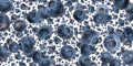 Blueberry background (on white) Royalty Free Stock Photo