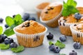 Blueberry banana muffins with fresh berries Royalty Free Stock Photo