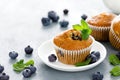 Blueberry banana muffins with fresh berries Royalty Free Stock Photo