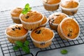 Blueberry banana muffins with fresh berries Royalty Free Stock Photo