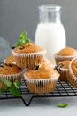 Blueberry banana muffins with fresh berries Royalty Free Stock Photo