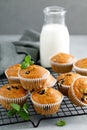 Blueberry banana muffins with fresh berries