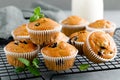 Blueberry banana muffins with fresh berries Royalty Free Stock Photo