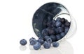 Blueberry berries