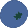 Blueberry Berry Icon