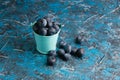 Blueberry berry in a small decorative bucket on a blue concrete background Royalty Free Stock Photo