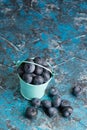 Blueberry berry in a small decorative bucket on a blue concrete background Royalty Free Stock Photo