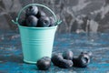 Blueberry berry in a small decorative bucket on a blue concrete background Royalty Free Stock Photo