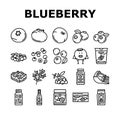 blueberry biberry blue berry icons set vector