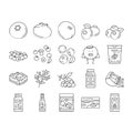 blueberry biberry blue berry icons set vector