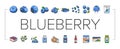 blueberry biberry blue berry icons set vector