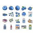 blueberry biberry blue berry icons set vector