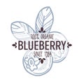 Blueberry or bilberry isolated icon with lettering forest berry Royalty Free Stock Photo