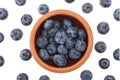 Blueberry. Blueberries in bowl isolated isolated on white background. With clipping path.