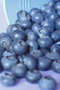 Blueberry blueberries close up background Royalty Free Stock Photo
