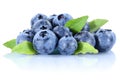 Blueberry blueberries fresh berry berries bilberry bilberries is