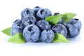 Blueberry blueberries fresh berry berries fruit isolated on whit